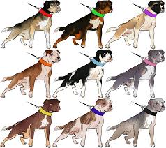 Mammut bulldog cirencester, gloucestershire these pictures of this page are about:what does a mammut bulldog look like. Mammut Bulldog Imports By Cielocadono On Deviantart