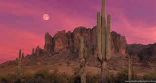 Mosey on down the boardwalk and visit the superstition saloon and restaurant. Phoenix Az Wallpapers Wallpaper Cave