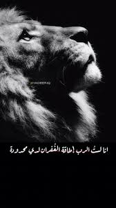اسد قوه تحمل lion digital art girl funny picture quotes jewelry website