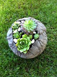 Betonkugel Mit Hubschem Hauswurz Kleine Garten Kakteen Und Sukkulenten Garten Deko
