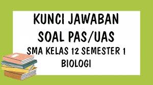 Kunci Jawaban Soal Latihan Ulangan Pas Uas Kelas 12 Sma Semester 1 Pelajaran Biologi Tribun Pontianak
