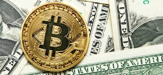 Physical bitcoin custodial services will make bitcoin even more scarce Btc Weiter Unter Druck Bitcoin Crash Novogratz Sieht Einstiegskurse Bei Bitcoin Nachricht Finanzen Net
