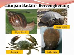 I then burst out laughing. Roihan0819 Bicara Pendidikan