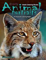 Download Amazon Com Adult Coloring Books Animal Portraits 47 Grayscale Coloring Pages Animals Close Up So You Can See And Color Them In All Their Beautiful Detail 9781723836794 Hawthorne Kimberly Books