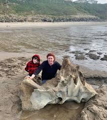 Locals Dig Up Rare Find On A Lincoln City Beach Community Thenewsguard Com