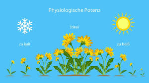 A3 = a × a × a. Physiologische Potenz Und Okologische Potenz Definition Toleranz Mit Video