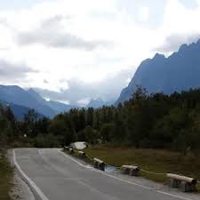 Stick insect and Victorian Christmas bush Our beautiful Wall Art and Photo  Gifts include Framed Prints, Photo Prints, Poster Prints, Canvas Prints,  Jigsaw Puzzles, Metal Prints and so much more