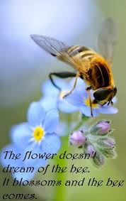 Quotes Wise Thoughts Flower Dream Bee Bee Birds And The Bees Bee Art
