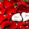 We use an extensive network of local cape coral florists and have your flowers bouquets delivered in cape local florist in cape coral. Https Encrypted Tbn0 Gstatic Com Images Q Tbn And9gcqcspdi3plju9qfaxymjakvxhcobpvjtp4lchnu8qxhlui038lm Usqp Cau