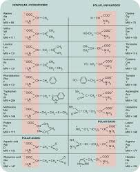 Exercise 2 Cellbiologyolm