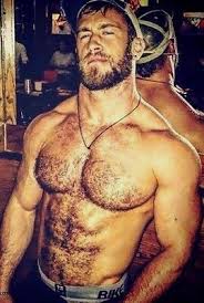 Orientation and landmarks to memorize. Shirtless Male Muscular Beefcake Hairy Chest Body Beard Hunk Guy Photo 4x6 F1481 Ebay