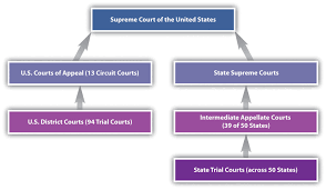 39 exact california court system flow chart