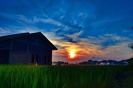 .mudik di kampung halaman, maka andapun dapat menggunkannya degnan seperti gambar dp bbm nah jika anda memang saat ini sedang mencari gambar dp bbm mudik pulang kampung ke. Pagi Yang Indah Di Kampung Halaman Saya Steemit