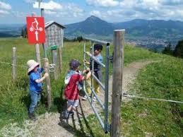 Allgau Die Schonsten Wanderungen Mit Kleinen Kindern Allgau Wandern Familienurlaub Familien Urlaub