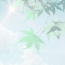 Find greenscreen gif aesthetic butterfly image, wallpaper and background. Realityrogue Anime Scenery Anime Background Scenery