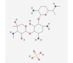 Image result for Gentamicin