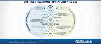 This approach intends to preserve good rapport with customers. Business Relationship Manager Brm Metrics Brm Institute