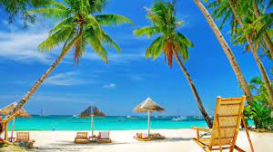 Tropics Caribbean Vacation Resort Leisure Palm Tree Sea Wallpaper Beach Wallpaper Hawaii Beaches Beach Pictures