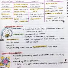 It's one of the best features i personally use the goodnotes app to create my digital notes and my favourite pen is the ball pen. Best Pens Highlighters For Pretty Notes Studyspo