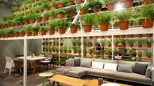 Kerstin Manner Blog Archive Dachgarten Mal Anders