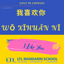Due to poor english knowledge, complex chinese dictionary and clumsy chinese to english translations, signs that are supposed to help you out, only end up causing outbursts of unstoppable laughter! I Love You In Chinese 37 Killer Phrases To Win At Love In Chinese