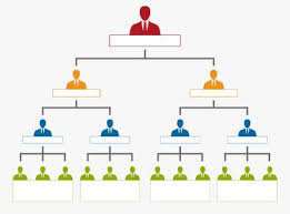 Chart Clipart Org Chart Org Transparent Free For Download