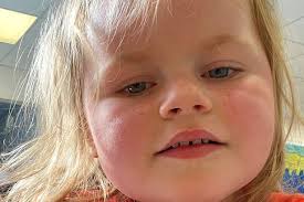 Shelley Over 60s Club