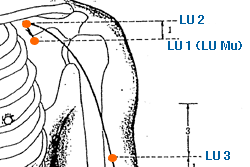 chest and abdomen acupressure points bodywork basics