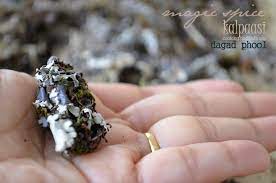 What Is Kalpasi What Is Dagad Phool Cooking Jingalala