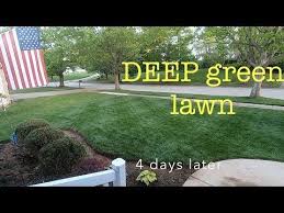 Get Your Yard Ready For Guests Deep Green In Days Youtube Deep Green Green Lawn Lawn Care