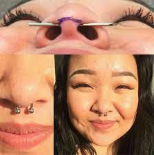 Pin By N N On Piercings Jewellery Earings Piercings Septum Piercing Septum Piercing Aftercare