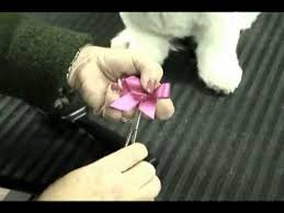 To learn more about girlie glue and be entered in our giveaway visit our girlie glue post. How To Place Bows That Actually Stay In With Melissa Verplank Youtube