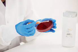 Microbiologics 0852k Staphylococcus Aureus Subsp Aureus Derived From Atcc 43300 Kwik Stik