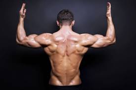 Tratamiento fisioterápico de un caso clínico de un paciente con una parálisis diafragmática unilateral derecha. Consigue Un Dorsal Ancho Poderoso Con Estos Ejercicios Caribbeanfit
