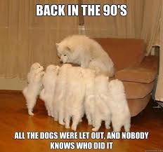 Memebase Who Let The Dogs Out All Your Memes In Our Base Funny Memes Cheezburger #funny #men #music #dogs #hilarious #sings.