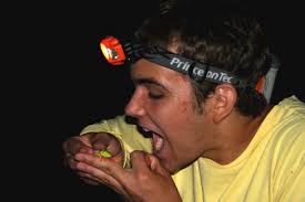 The Adventures of Kristiina and Edward