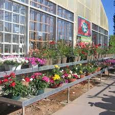 Access 405 trusted reviews, 113 photos & 103 tips from fellow rvers. Ballard S Nursery Startseite Facebook