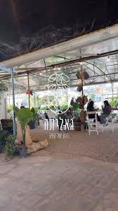 גאליתה- עגלת קפה