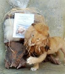 Sarafina Lion Felting Eweniversity Supply Pack Felt Art Needle Felted Animals Felt Animals