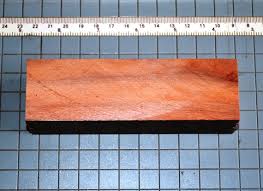 Image result for Schinopsis