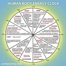 Kidney Tongue Spleen Qi Deficiency Treatment Meaning And Diet Body Energy Energy Medicine Holistic Health