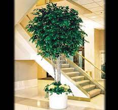 We offer partially artificial and full artificial trees both of which have their own particular benefits depending on the circumstances surrounding the project. Ficus Benjamina Foliage Artificial Tree Branches Commercial Silk
