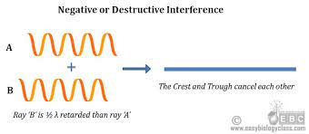 Destructive Interference Biology Class Principles Biology