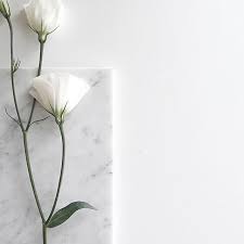 Centros de mesa de eucalipto. Drown Me In The Water Aesthetic Aesthetictumblr Aesthetics Aestheticedit Whiteaesthetic Wh Bunga Peony Bunga Kering Doodle Bunga