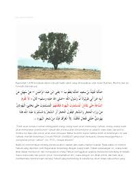 Yahudi tanam jutaan pokok gharqad. Isnin 14 Jun 2010 19 05