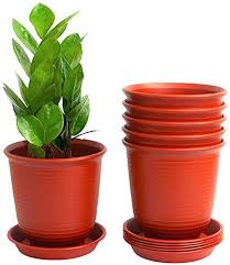 Fioriere con piante grasse decorate con cusci di frutti di mare : Porte Da Giardino Fatte Con I Pallet Migliori Offerte 2021