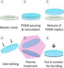 Pdms: A Review On Polydimethylsiloxane In Microfluidics - Elveflow