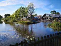 De plaatjesalbums historisch reeuwijk zijn er weer! Landal Reeuwijkse Plassen Prices Lodge Reviews Reeuwijk The Netherlands Tripadvisor