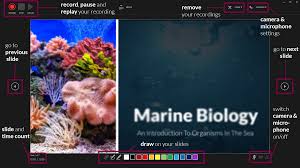 Hopefully, this article has helped you to understand the importance of coral reefs to biodiversity. How To Record An Audio Voiceover In Powerpoint 2021 Slidelizard