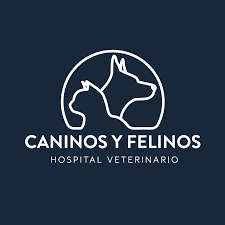 Hospital Veterinario Caninos Y Felinos
